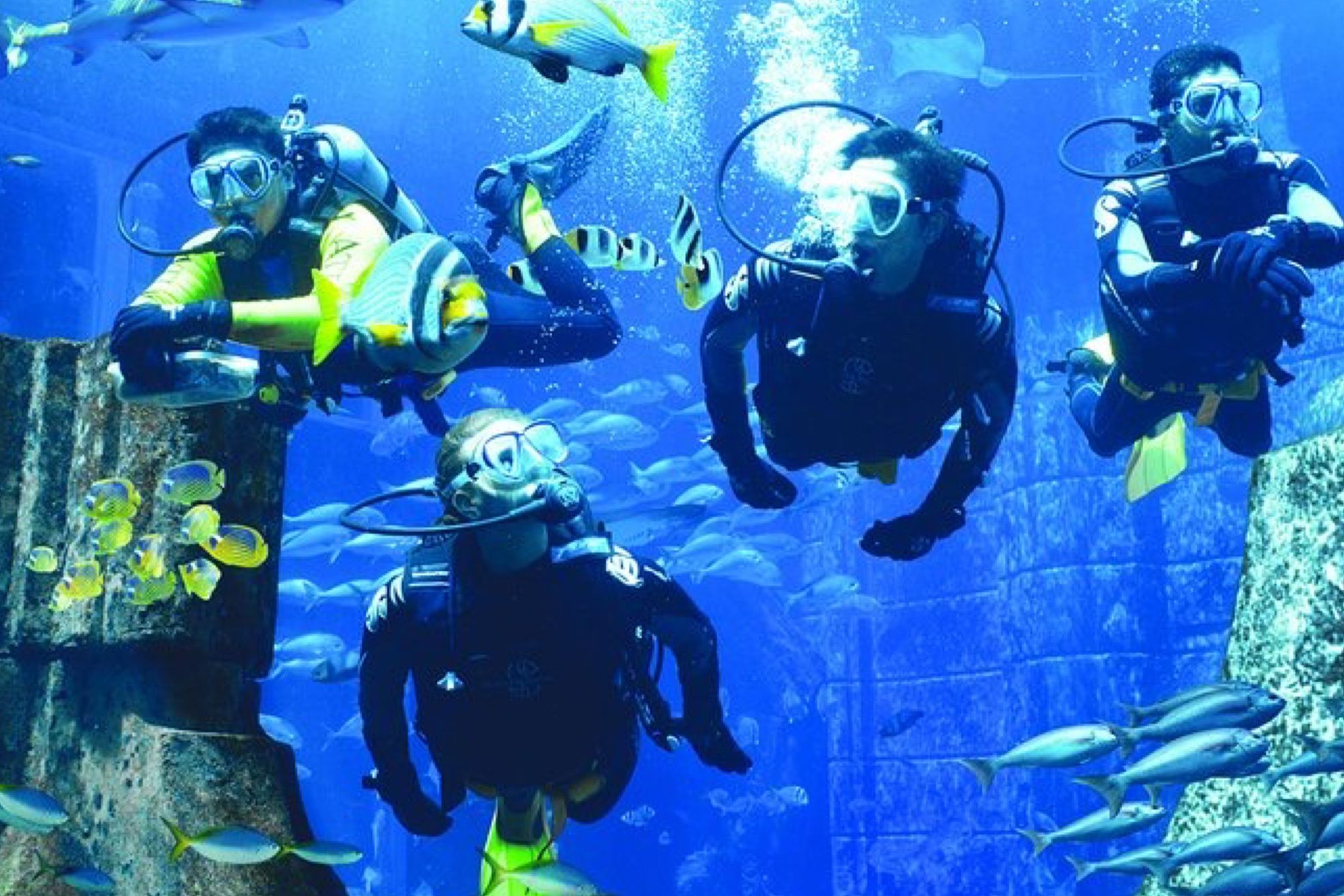 The Lost Chambers Aquarium Atlantis Diving Experience